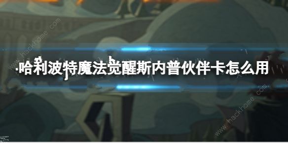 哈利波特魔法觉醒斯内普伙伴卡是真的假的 斯内普伙伴卡技能使用攻略[多图]图片1